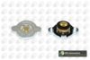 BGA CC3014 Cap, radiator
